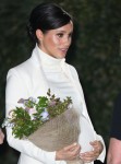 The Duke and Duchess of Sussex attend the gala performance of The Wider Earth