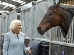 Queen Camilla received the prestigious Order of New Zealand honor